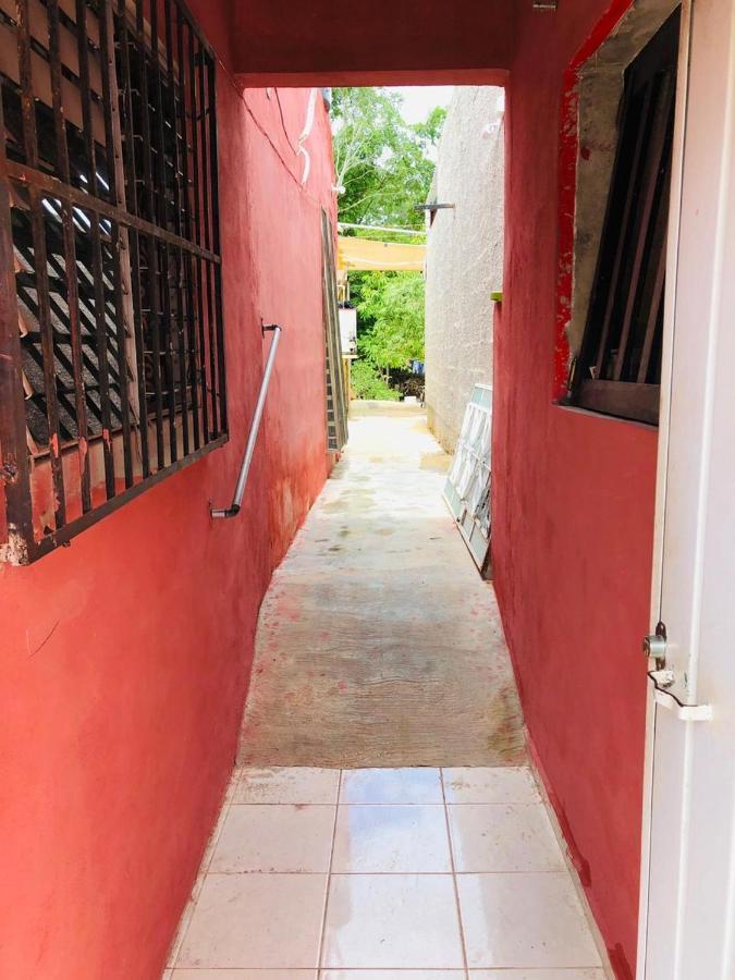 Apartamento Casa Lili 2: Luxurious/amplio/hot Water/economic/wifi/tv